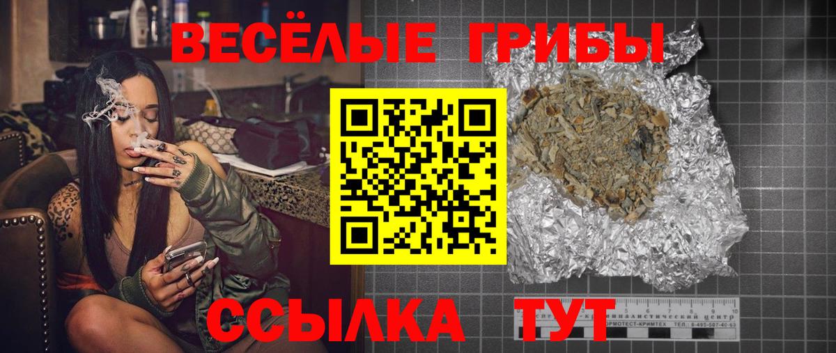 Псилоцибиновые грибы мицелий Будённовск